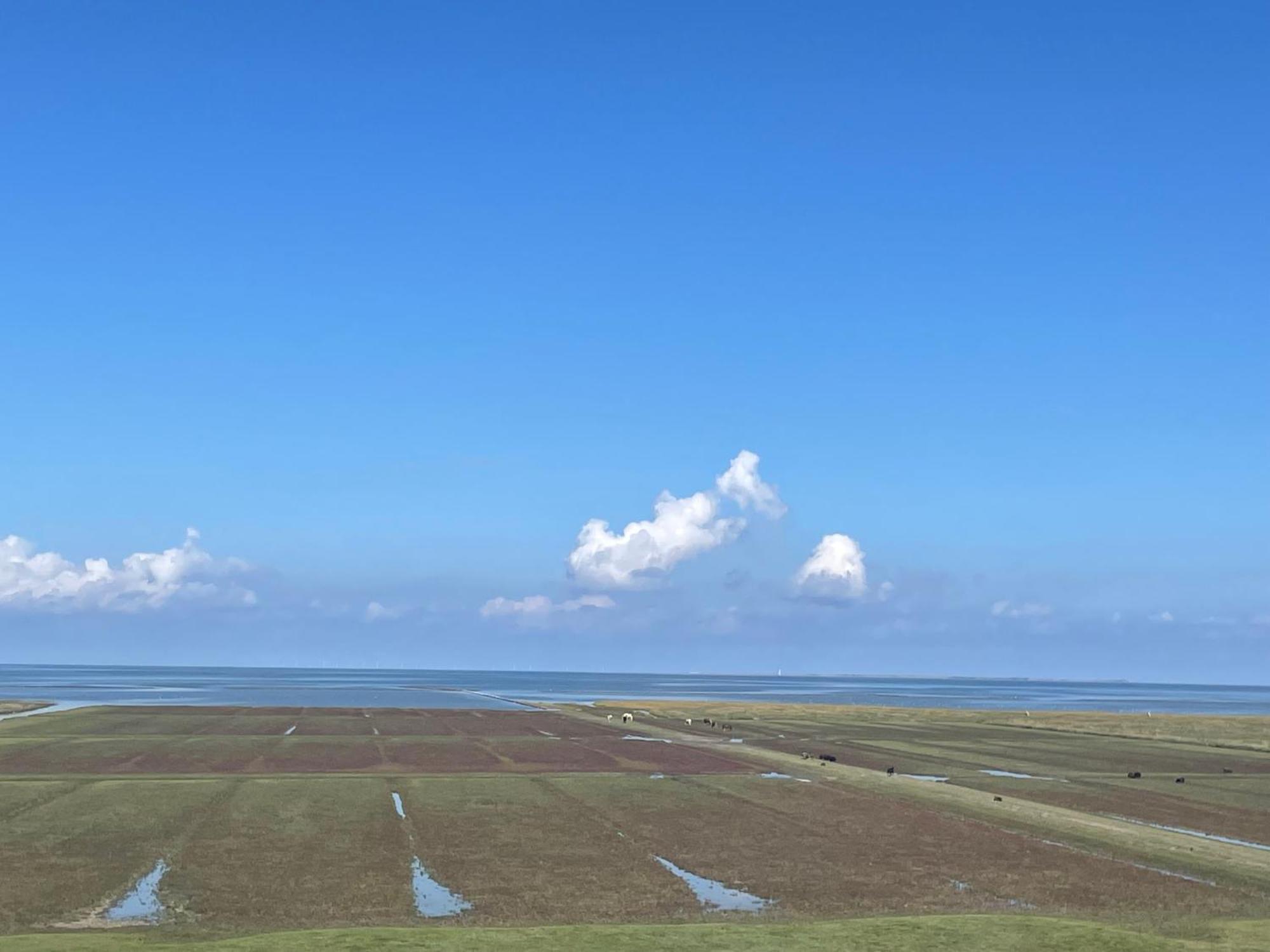 ホテル De Oude Smidse Westernieland エクステリア 写真